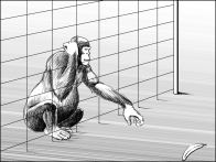 singe-1