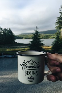 adventure begins