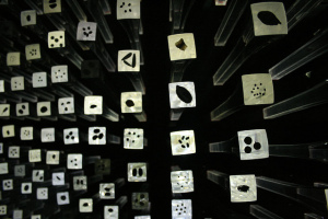 Seed bank / Eddie Wong (CC BY-NC-ND) via Flickr