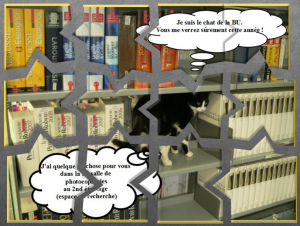 [BU droit] puzzle