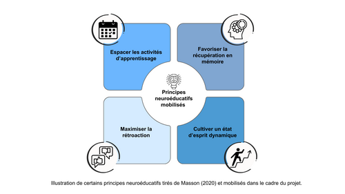 Principes neuroéducatifs mobilisés