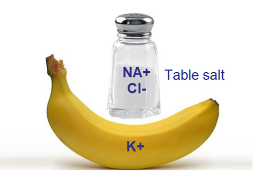 Image of a banana and table salt labelled as ions