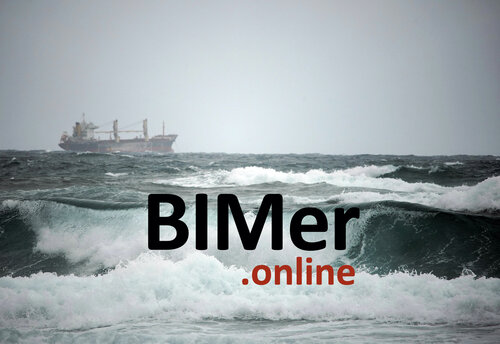 Le BIMer, un diplôme d'acculturation maritime - Innovation Pédagogique ...