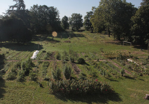 Potager avant aménagements