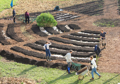 Aménagement potager