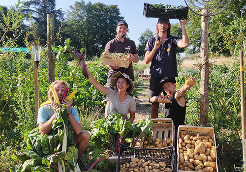 récoltes potager été 2022