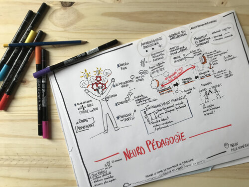 Neuro pédagogie 2