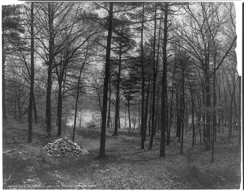 Vue en noir et blanc de la « baie de Thoreau »