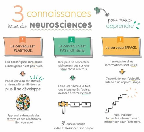 neurosciences
