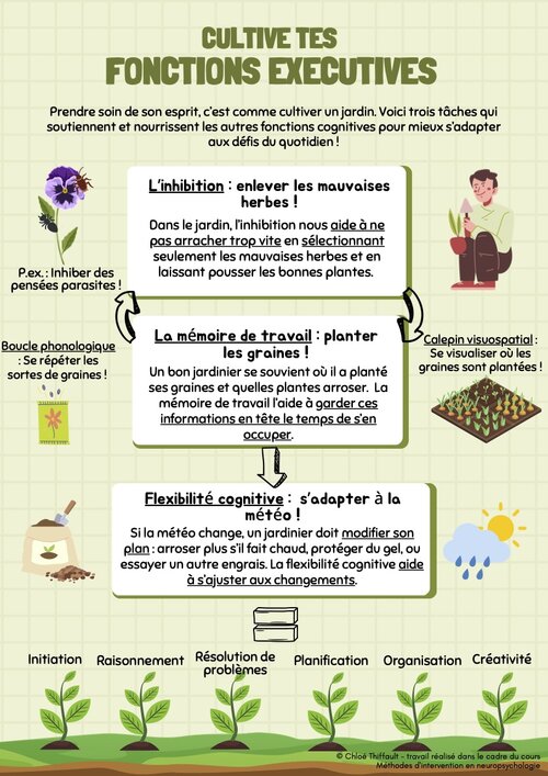 Cultive tes fonctions exécutives